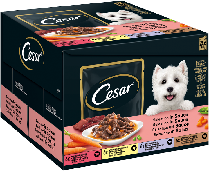 Cesar Hunde-Nassfutter Selektion in Sauce, 4 Varietäten Multipack 24x100 g